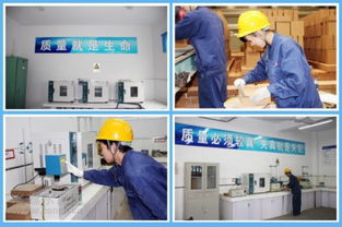 海螺耐火材料公司 服務水泥主業，打造行業精品耐火材料